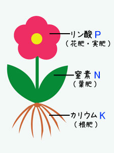 肥料の三要素 肥料の三要素